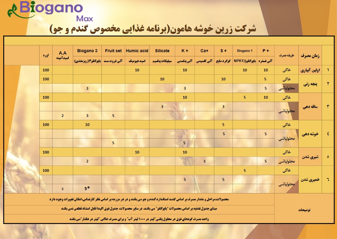 برنامه غذایی گندم و جو